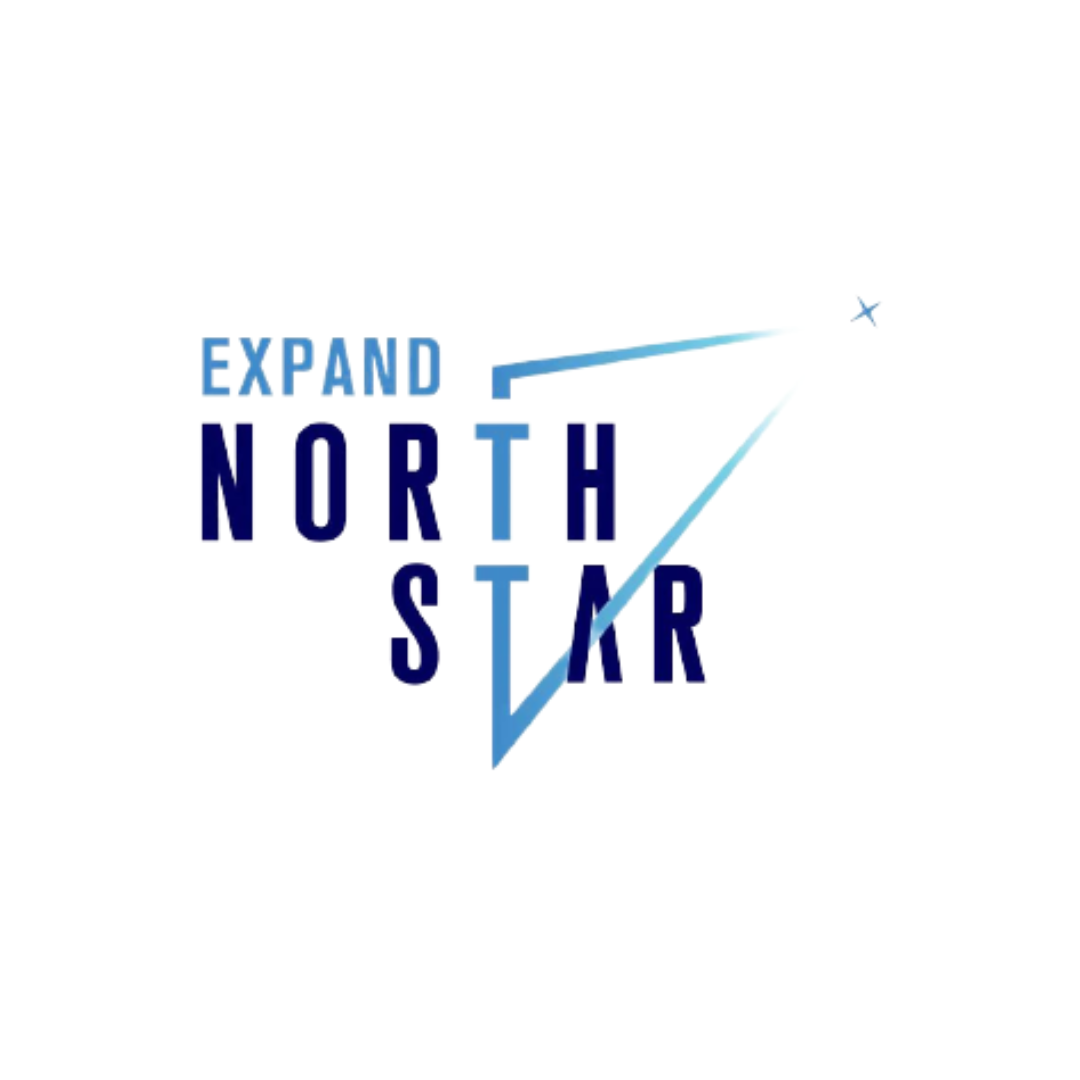 Customize this Flat Minimalist The North Star Logo design online